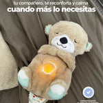Peluche Anti-estrès Y Ansiedad